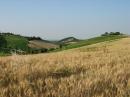 Collina di Sedrio